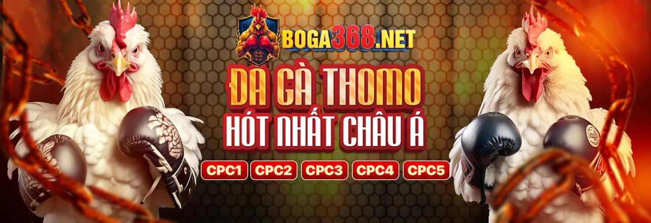 Lợi ích khi tham gia New88