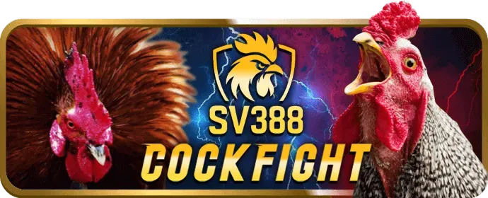 Hoàn trả hàng ngày e2betvip
