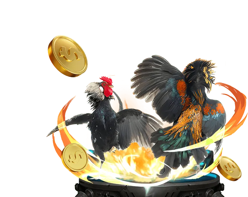 Các bước nhận tiền thưởng New88